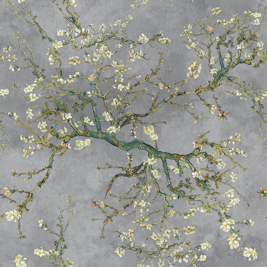 Sametkardinakangas,D00301/VEL, kõrgus 150cm